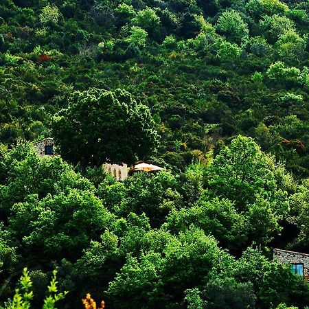 Il Cannito Hotel Capaccio Luaran gambar