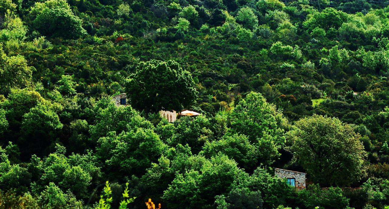 Il Cannito Hotel Capaccio Luaran gambar